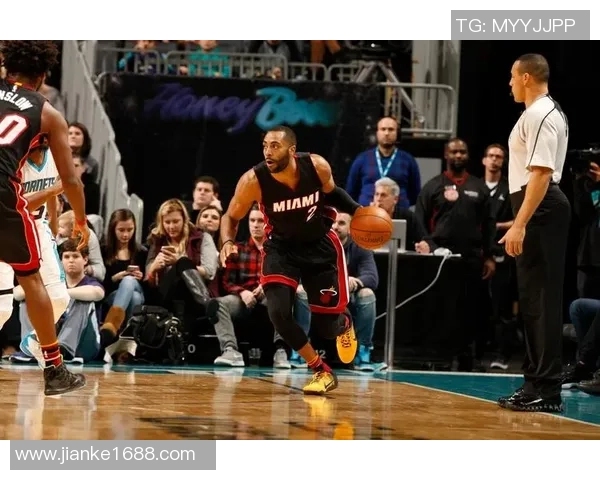 2014年NBA季后赛热火对阵黄蜂首场激战精彩回顾与分析