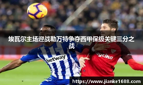 zoty中欧官方网站